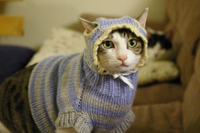 开云体育网址-“胡利安·门德斯的多维战术运用，为阿根廷美洲狮队带来更多机会”