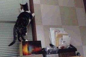 开云体育官网登入-中国三人女篮加快攻守转换 增强实战能力，中国队三人女篮