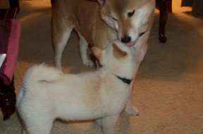 开云体育网站-三场压轴大战意外不断，德甲积分榜风云突变，德甲2020积分