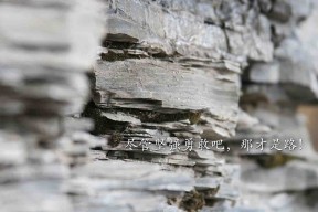 开yun官网-国际篮联发布裁判评分白皮书，透明度与标准化并重，国际篮球裁判规则大全