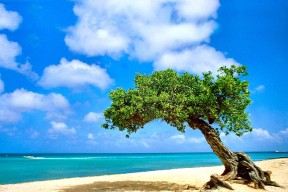 开云体育在线-传控型中场是否更适合面对高压对抗型对手，传控打法和防守反击