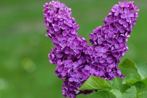 开云体育app在线-中国男篮主教练注重团队协作，中国男篮主教练名字