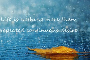 开云体育-球员在转换进攻中节奏的临场判断能力，转身进攻犯规