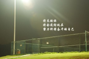 开云体育-三场压轴大战意外接连，德甲积分榜洗牌升级，德甲积分ds