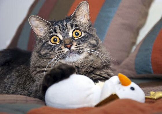 中超球员比赛表现趋势报告，中超联赛球员数据