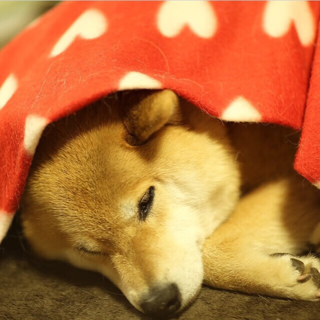 中超球队中后场推进模式统计，中超边后卫