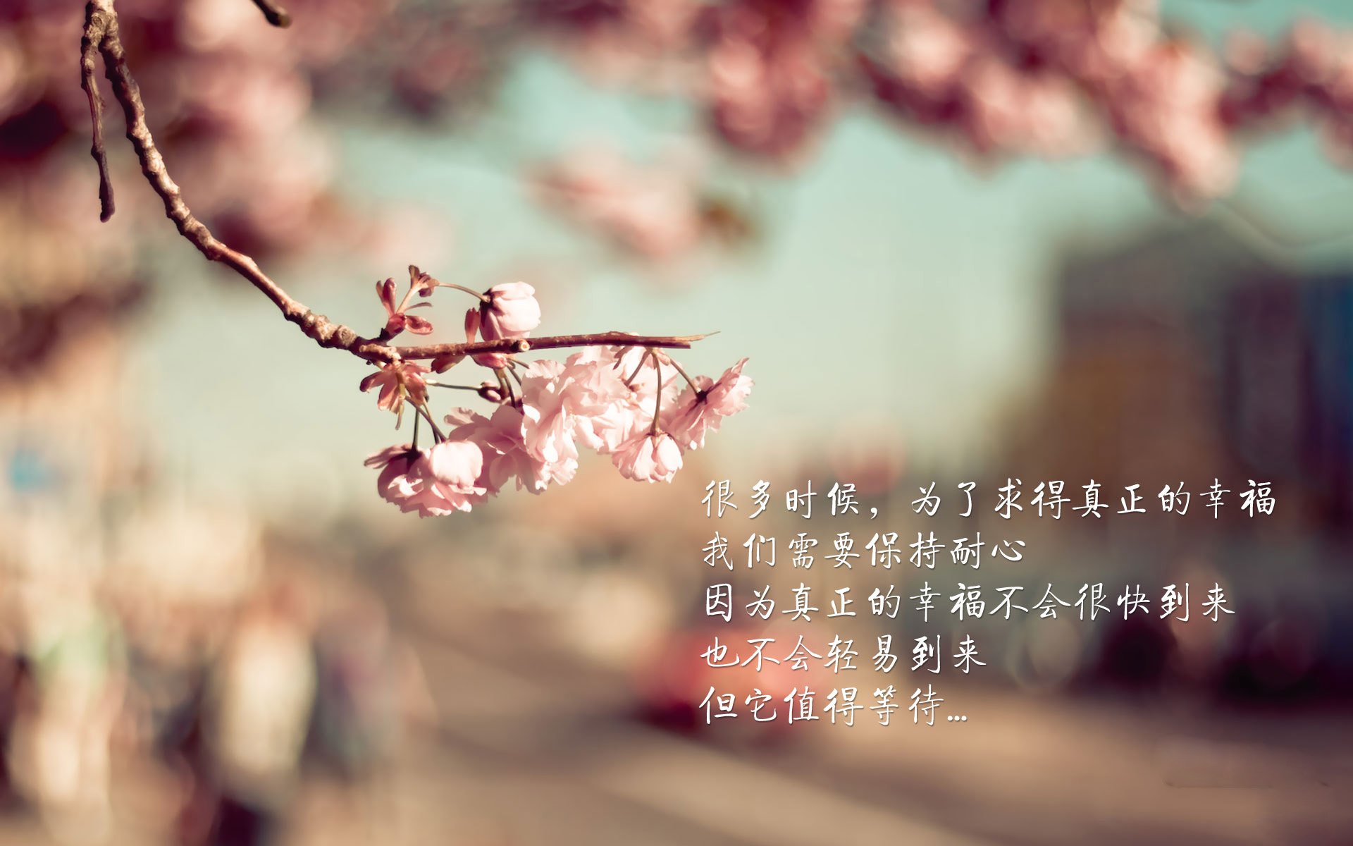 全国定向运动锦标赛多地选手展风采，全国定向锦标赛几年举办一次