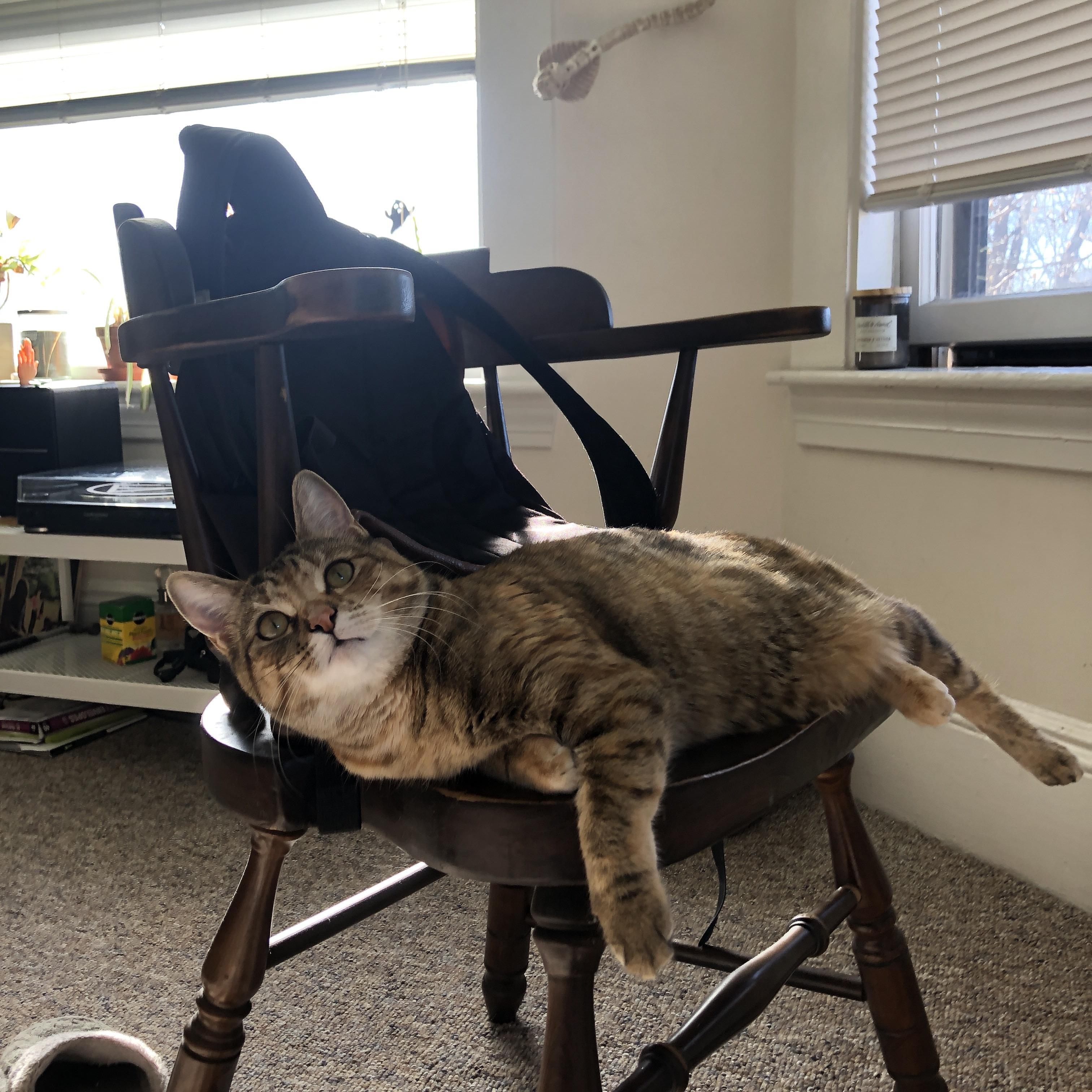 德甲球队采用AI模型识别对手防线漏洞战术研究，德甲球队采用ai模型识别对手防线漏洞战术研究进行分析