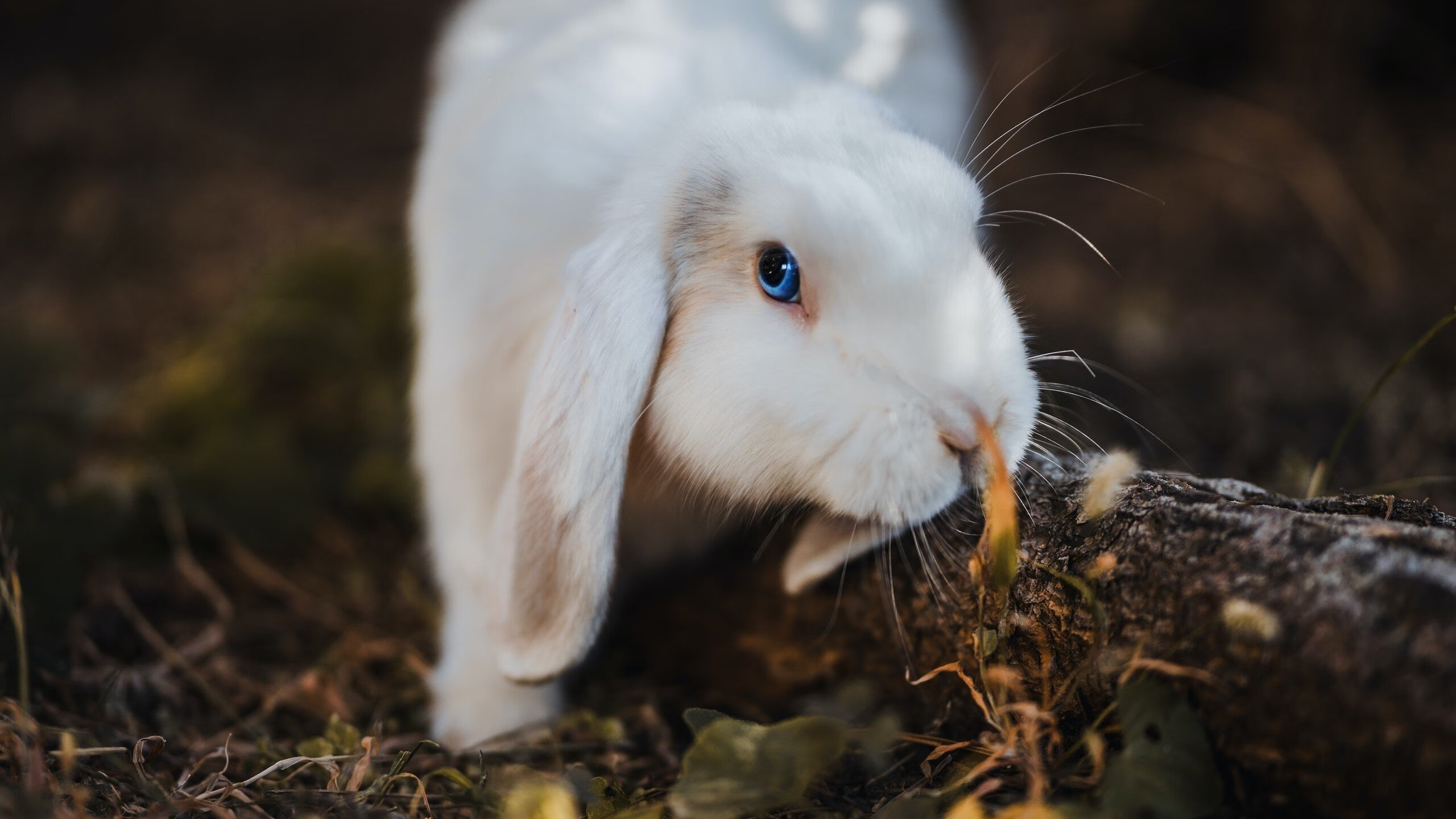 高校体育课程创新教学与实践研究，体育创新课程的心得体会
