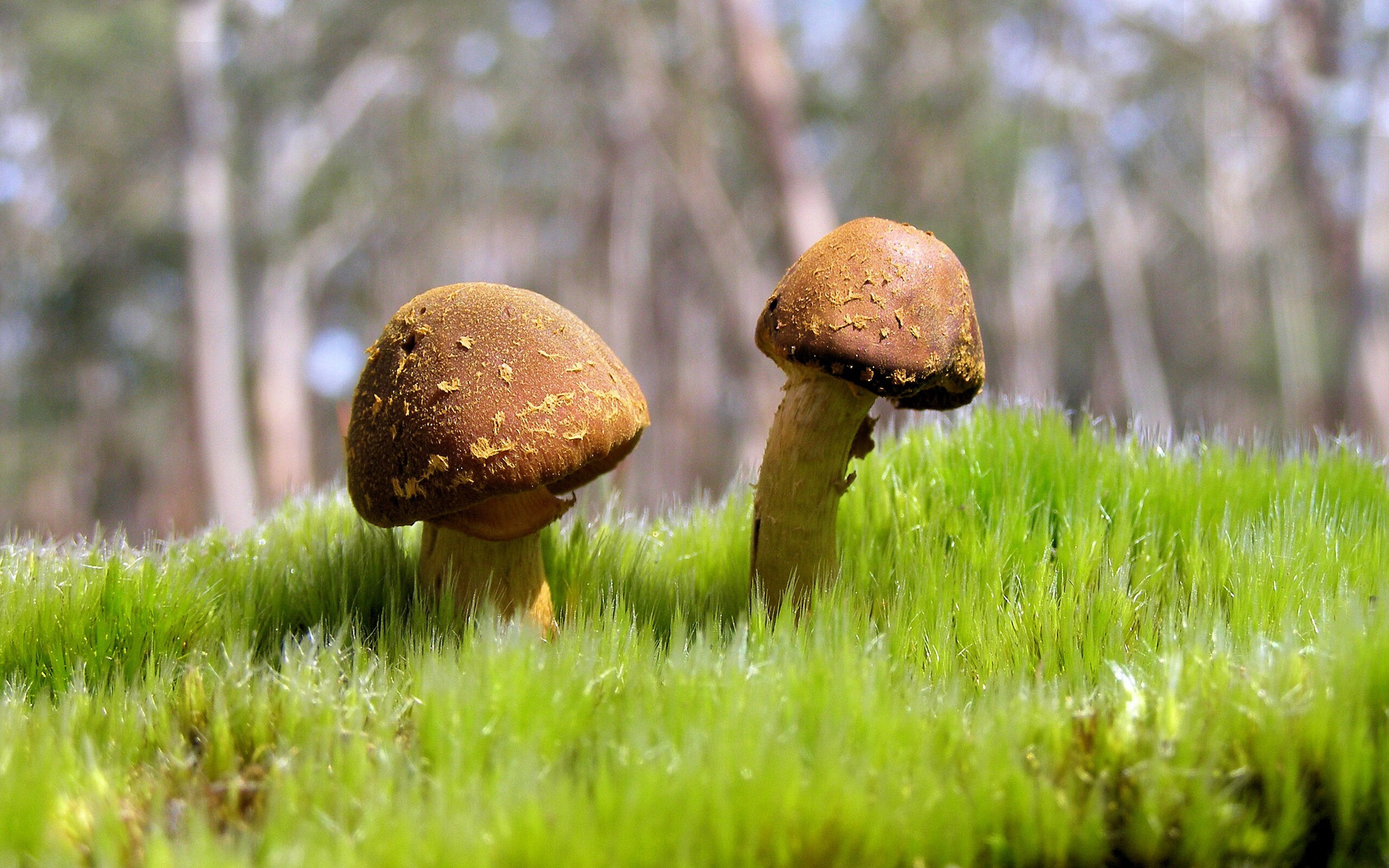 “快艇冲浪:东三叉湖赛场极速对决,飞驰水面成焦点”