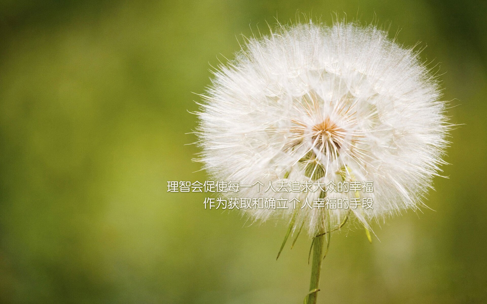 中国男篮主教练注重团队协作，中国男篮主教练名字