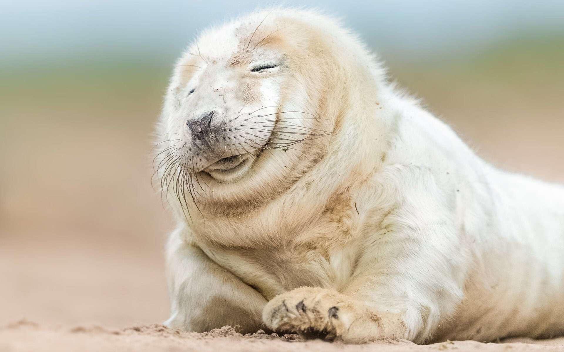 五大联赛是否更倾向中前场组织核心集权模式，五大联赛中场排行