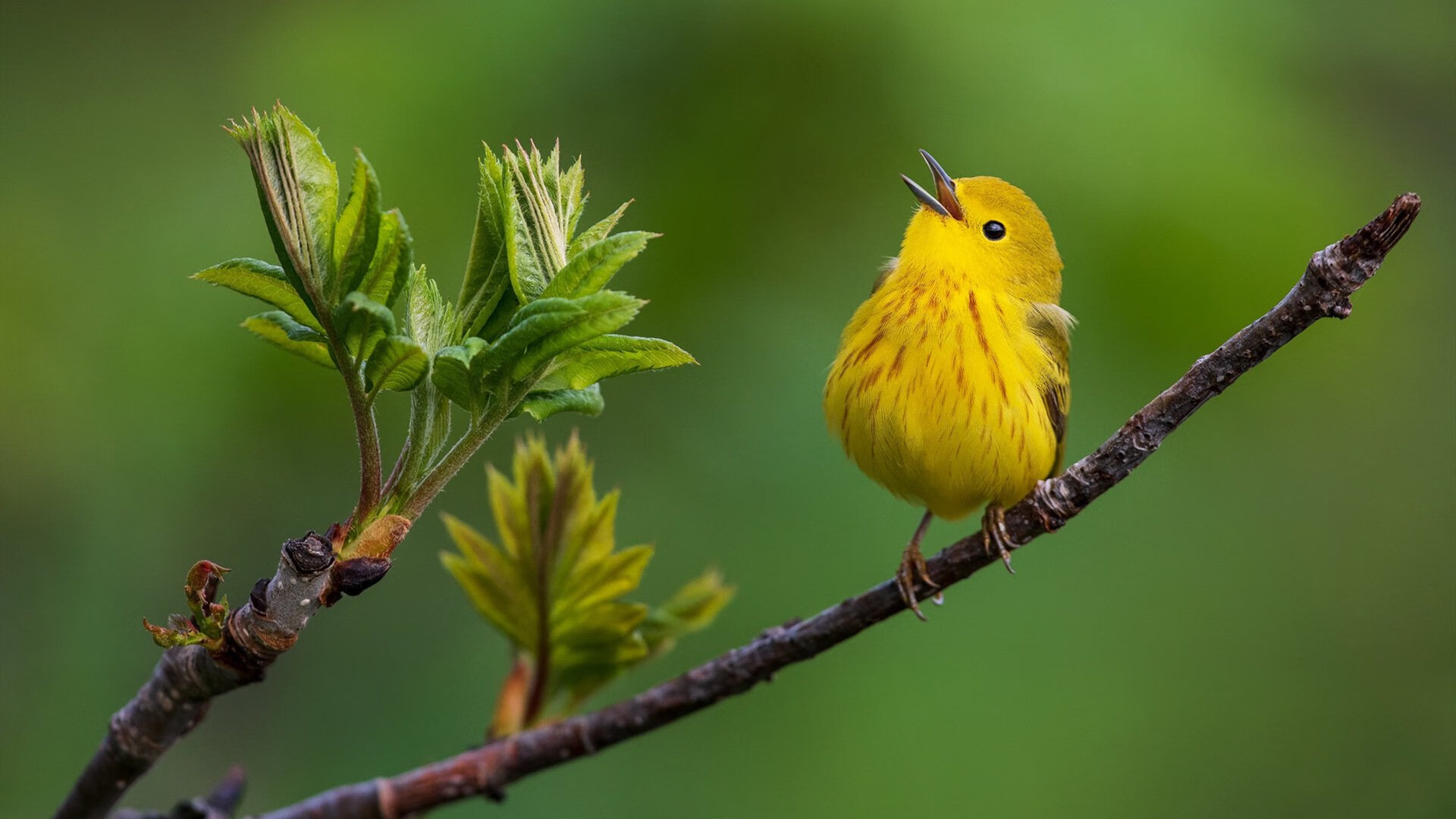 体育新闻中心上线体育话题热度追踪与趋势洞察平台，体育新闻!