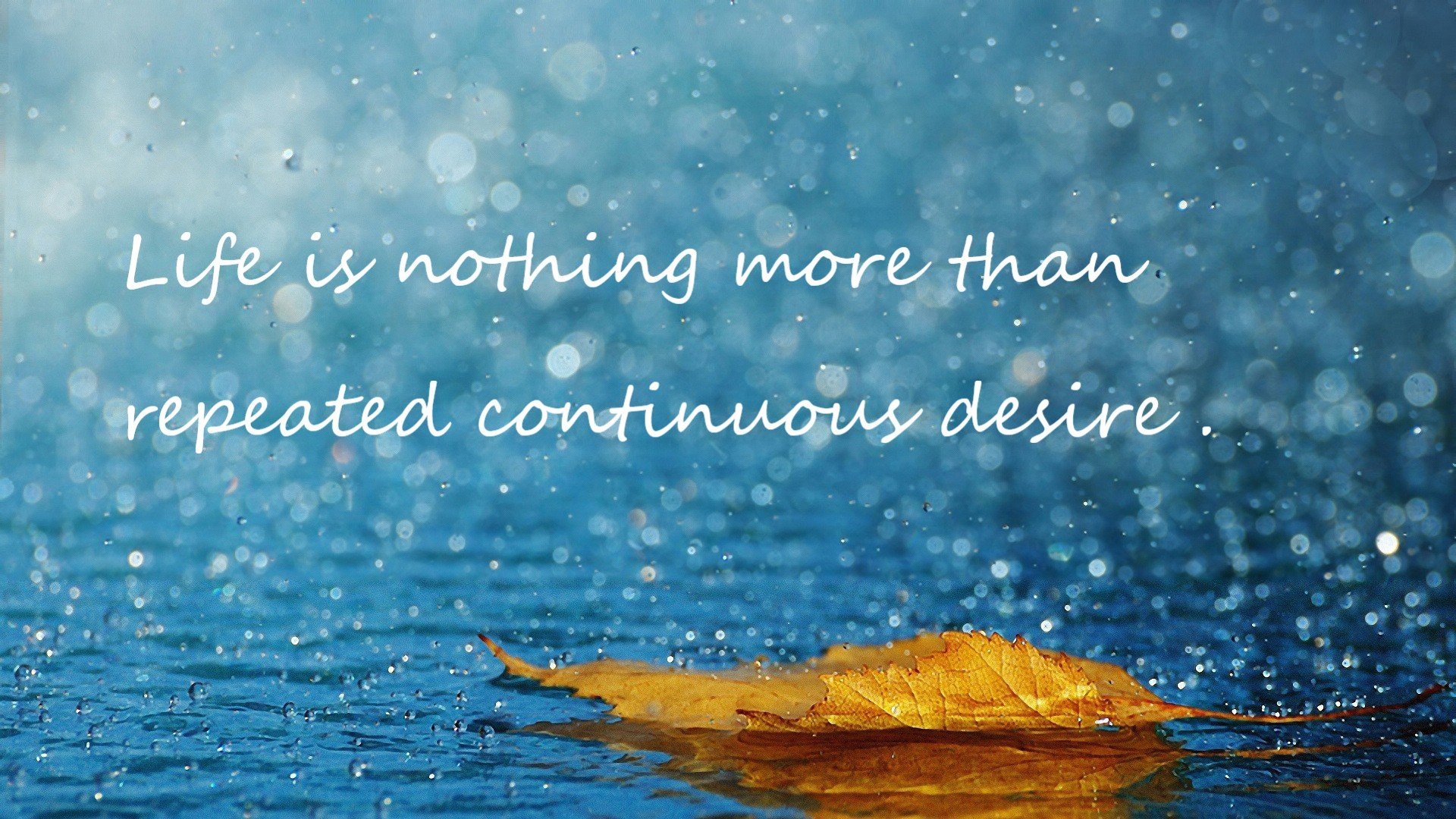 球员在转换进攻中节奏的临场判断能力,转身进攻犯规