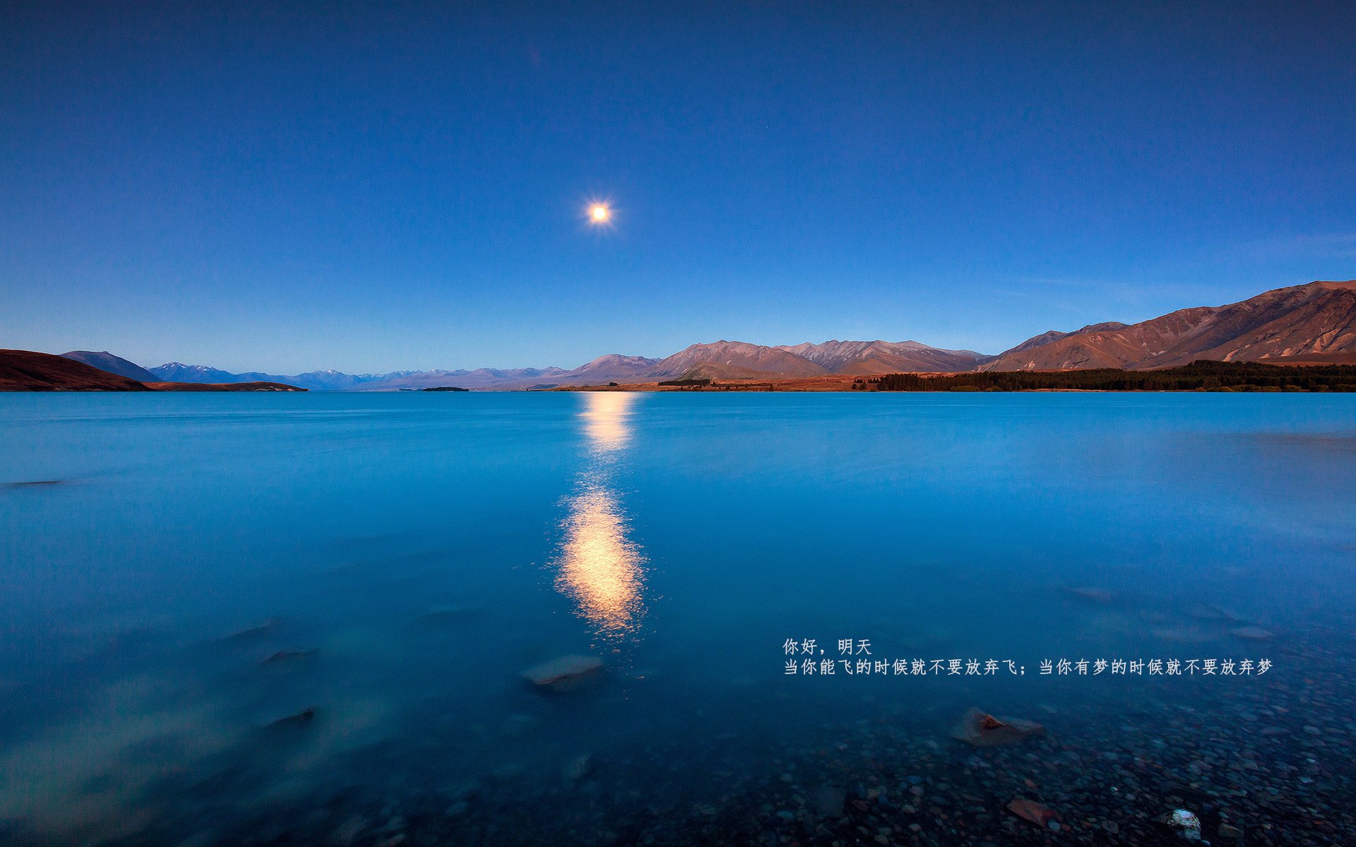 意甲节奏之王：快速反击碾压对手，意甲开场曲叫什么名