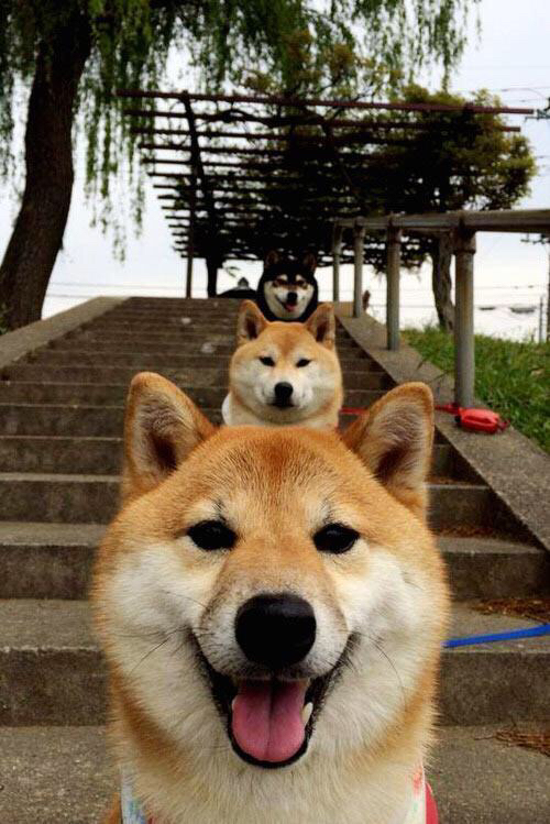 篮球运动员职业生涯规划指导，篮球职业规划怎么写