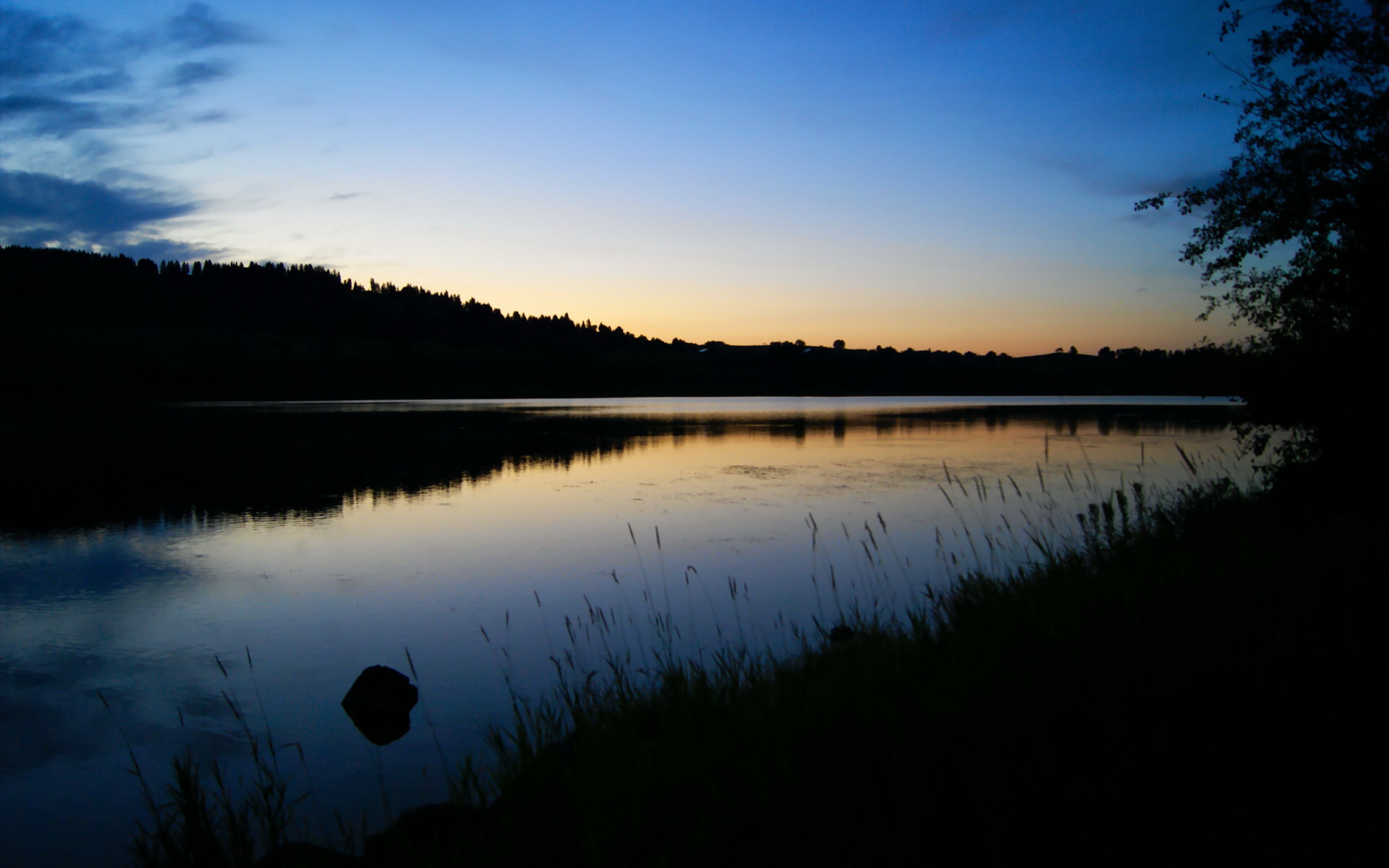 美洲杯明星闪耀全场：激情十大瞬间！，美洲杯有哪些明星