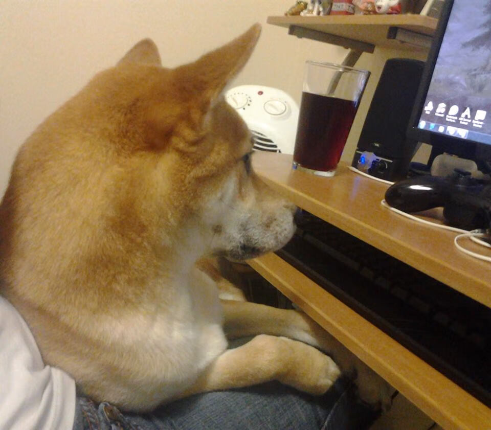 PSG展望未来，瞄准下一届世界杯冠军，下一个世界杯冠军