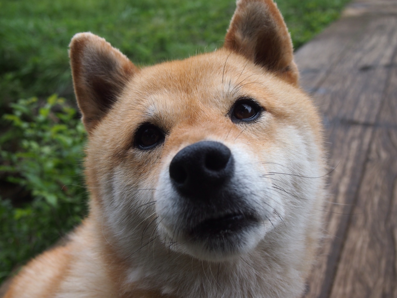 世界第9出局！向鹏澳门赛一轮游