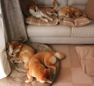 中国足球联赛提升球迷观赛体验和互动性，中国的足球队比赛现场